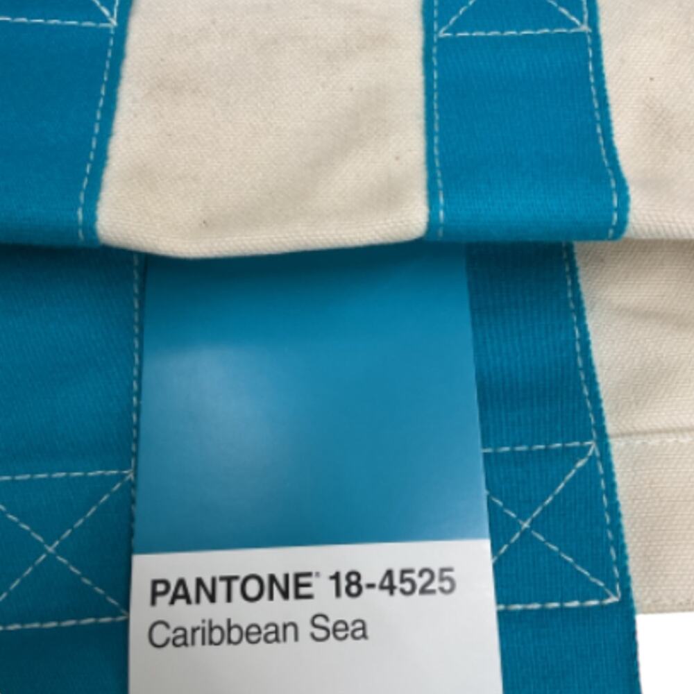 Hermes Bora Bora PM White Pantone Cotton Handheld Tote - Picture 7 of 11